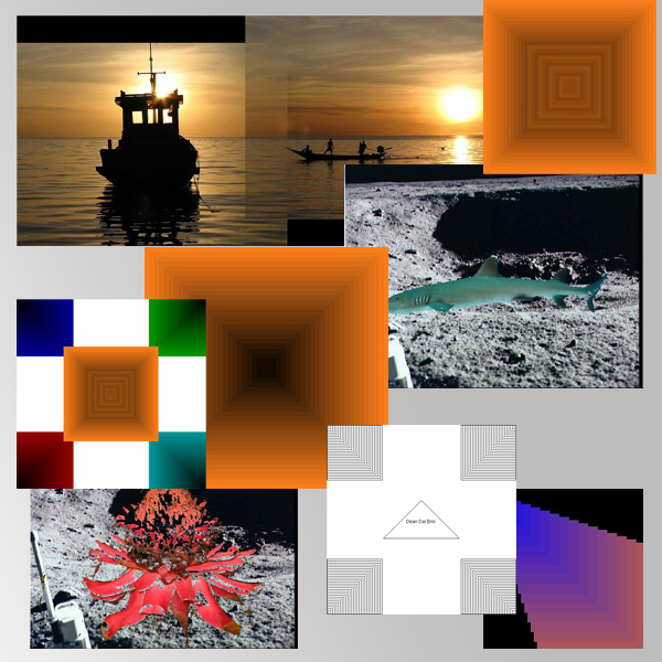 Collage